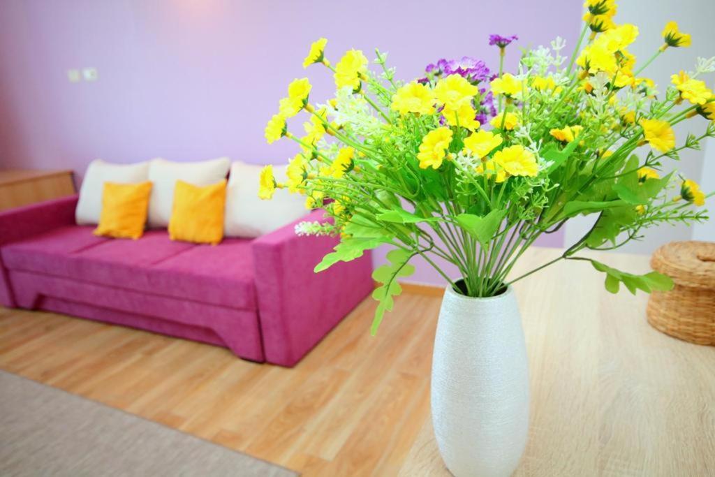 Flowers Apartments Timişoara Buitenkant foto